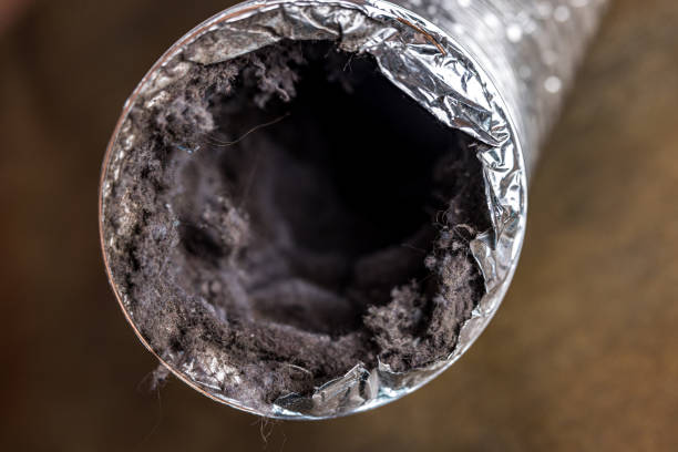 Best Local Air Duct Cleaning Services  in Seguin, TX