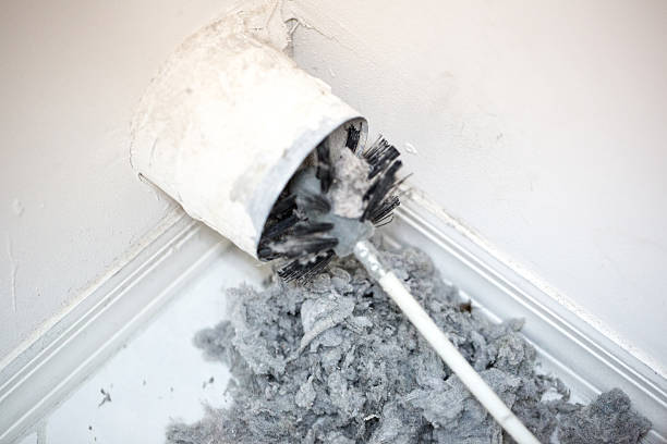 Best Professional Duct Cleaning Services  in Seguin, TX